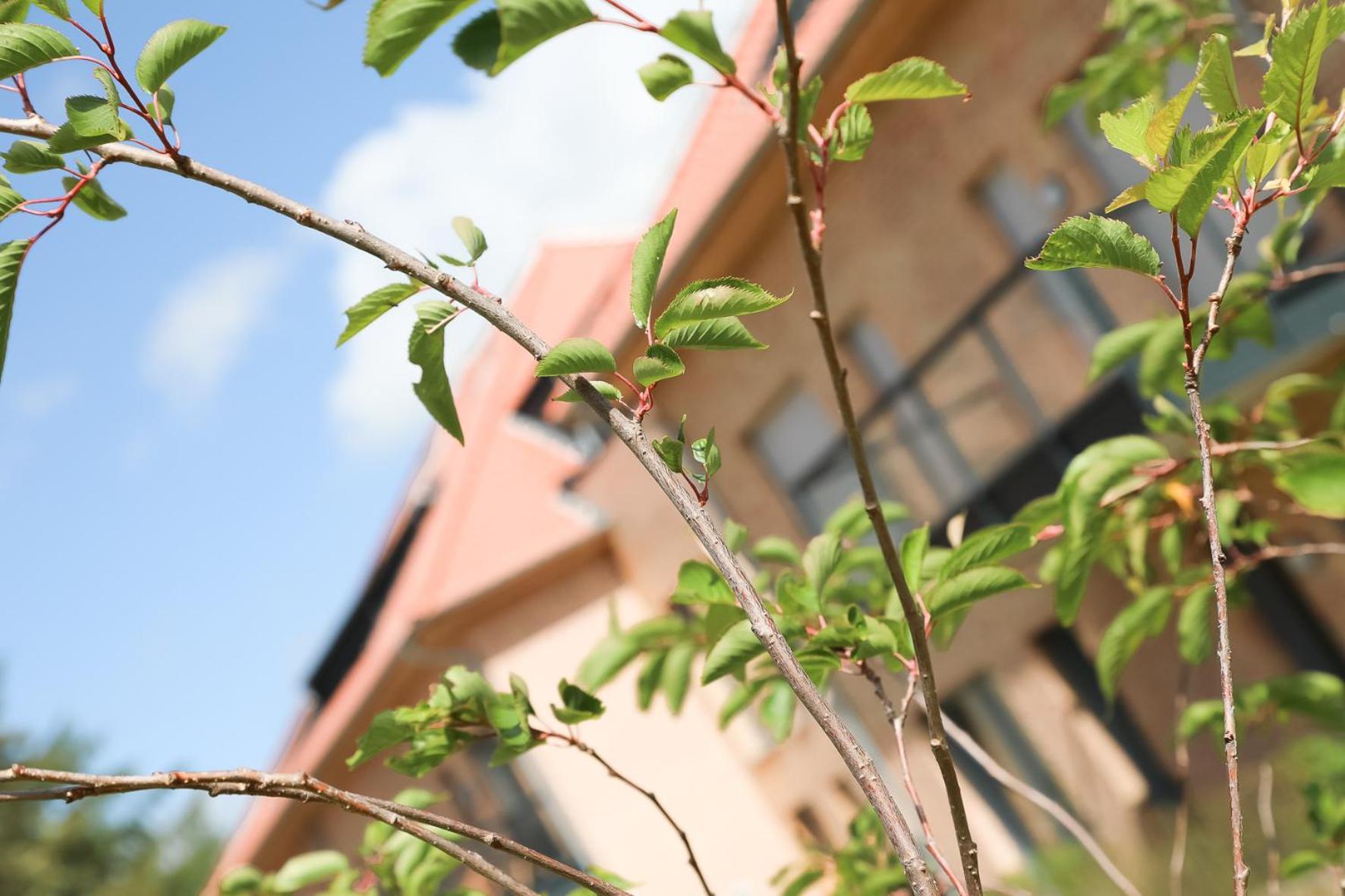 Wohnen Am Suedstrand - Ferienwohnung 0 3 Wyk auf Föhr Exterior foto