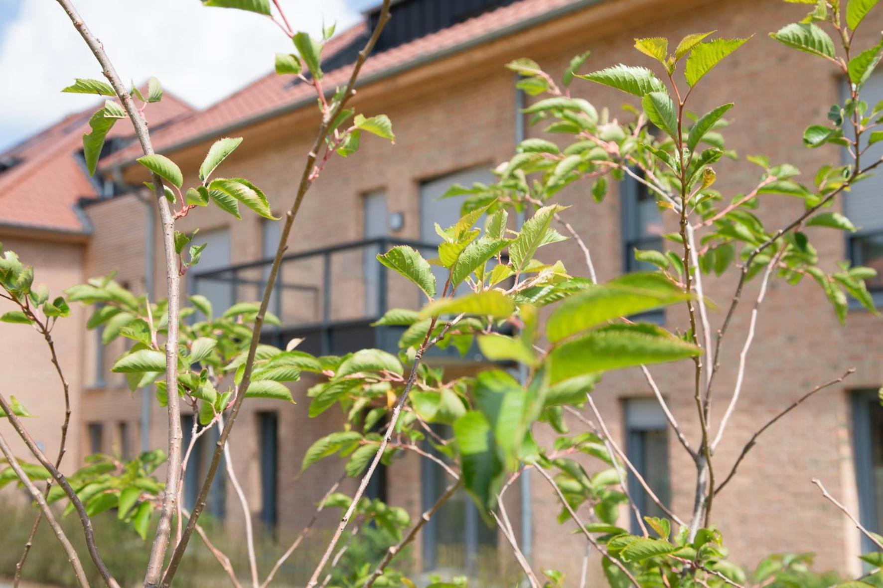 Wohnen Am Suedstrand - Ferienwohnung 0 3 Wyk auf Föhr Exterior foto