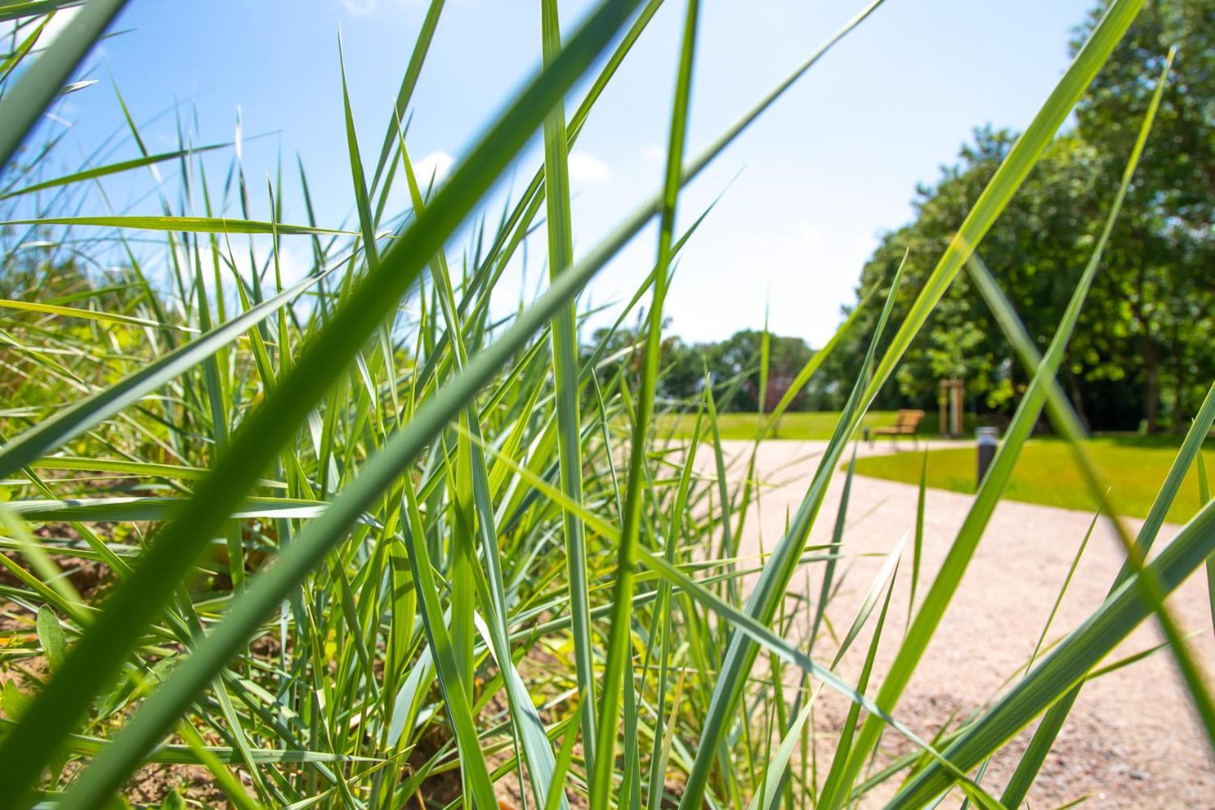 Wohnen Am Suedstrand - Ferienwohnung 0 3 Wyk auf Föhr Exterior foto