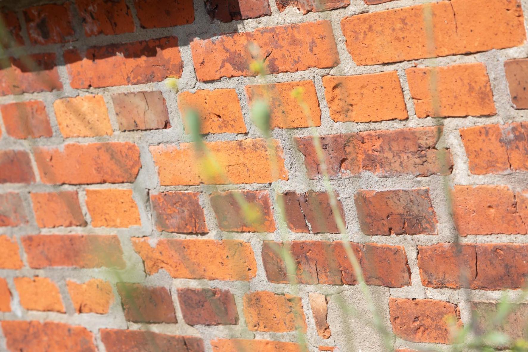 Wohnen Am Suedstrand - Ferienwohnung 0 3 Wyk auf Föhr Exterior foto